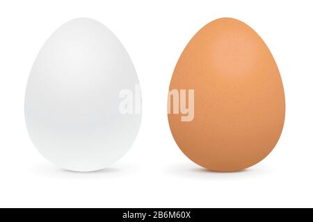 White and brown eggs Stock Vector