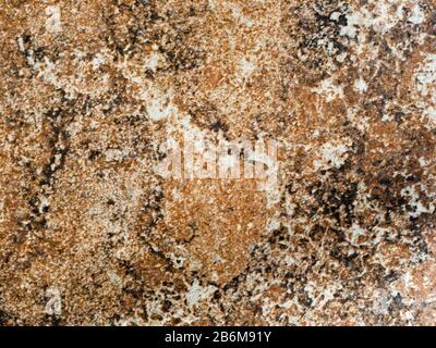 brown tan and cream colored stone tile texture Stock Photo