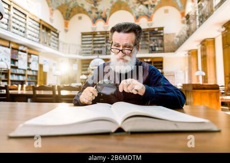 Old man scientist, library worker, reading a book in a library, looking through the magnifying glass. Vintage library shelves and books on the Stock Photo