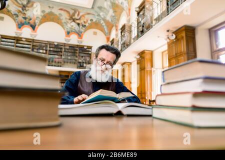 Stylish bearded senior man, writer, scientist, teacher, book lover, sitting in old vintage city library at the table with many books on, and reading a Stock Photo