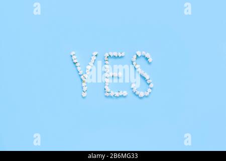 Word YES made of white flowers on a light blue background top view Stock Photo