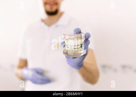 dentist wearing medical gloves shows patient jaw model before starting treatment in dental clinic, healthcare concept. Stock Photo