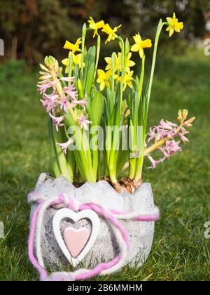 Bouquet of spring flowers in basket Stock Photo