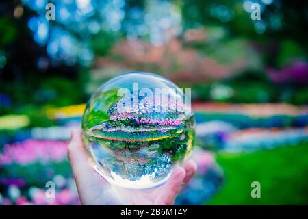 Hand holding crystal ball in formal garden, Butchart Gardens, Vancouver Island, British Columbia, Canada Stock Photo