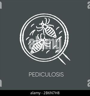 Pediculosis chalk white icon on black background. Contagious medical problem, epidemic disease, head lice. Tiny insects under magnifying glass Stock Vector