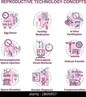 Reproductive technology concept icons set. In vitro fertilization. Egg, sperm donation. Alternative pregnancy idea thin line RGB color illustrations Stock Vector