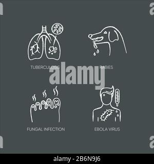 Viral and infectious diseases chalk white icons set on black background. Tuberculosis, rabies, fungal infection and ebola virus. Dangerous illnesses Stock Vector