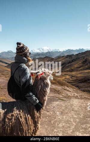 Tourist with alpaca at the colourful Rainbow Mountains in Palccoyo (alternative to Vinicunca) with view of snow-covered Andes (Peru, South America) Stock Photo