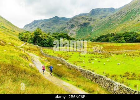 Fell runners descending Grisedale in the Eastern fells of the Lake District Stock Photo