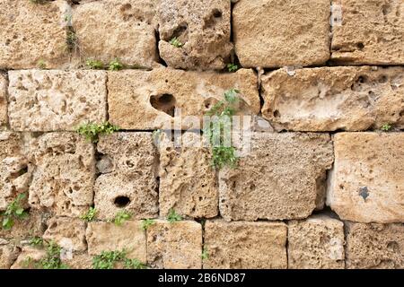 fragment of an old stone wall in the old city. wall in the old city. the plant grows against a stone wall Stock Photo
