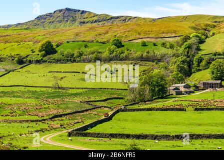 Wild Boar Fell above Mallerstang valley in the Yorkshire Dales, with Royal Mail van approaching remote farm Stock Photo