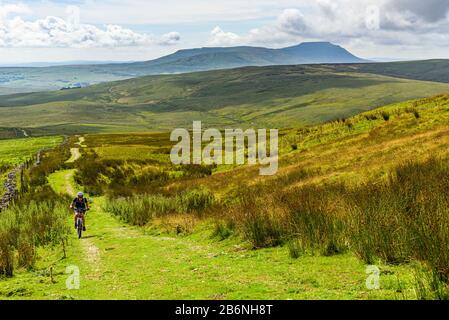 Cyclist climbing the flank Wold Fell on the Pennine Bridleway in the Yorkshire Dales, with Ingleborough behind Stock Photo