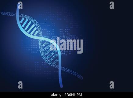 Abstract health science consist DNA digital technology concept  modern medical technology,Treatment,medicine on hi tech future blue background. for te Stock Vector