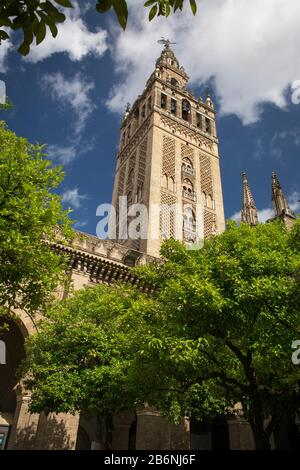 The Giralda tower with the Giraldillo sculpture at its top from the Naranjos Patio of Seville's Cathedral, Spain Stock Photo