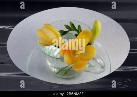 Yellow freesia buds in a cup of coffee Stock Photo