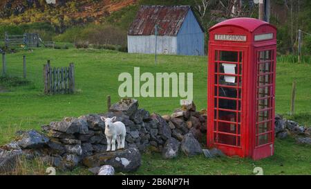Europa, Schottland, Grossbritannien, England, Landschaft, Rote Telefonzelle, Stock Photo