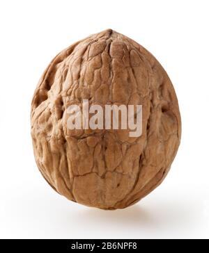 Walnut isolated on white background with clipping path Stock Photo