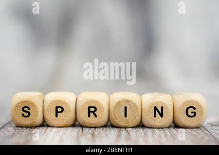 The word Spring on wooden cubes. Seasons of year Stock Photo