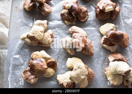 dh PNG Market ALOTAU PAPUA NEW GUINEA Chesnuts markets product display Stock Photo