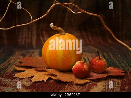 empty food background with pumpkin and apples still-life