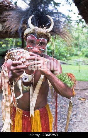 dh Native warrior man PNG ALOTAU PAPUA NEW GUINEA Traditional tribesman blowing into conch shell culture tribal leader tribe head dress Stock Photo