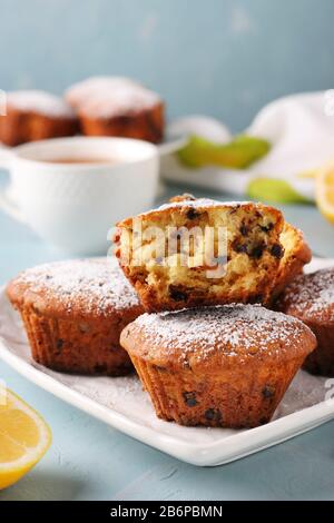 Homemade lemon muffins with chocolate, sprinkled with icing sugar on a white plate on a light blue background, Vertical format Stock Photo