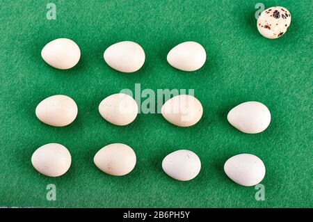 quail easter eggs on a green background. laid out in even rows in the form of a rectangle. Easter concept. Stock Photo