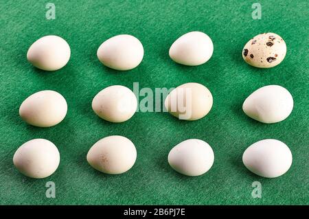 quail easter eggs on a green background. laid out in even rows in the form of a rectangle. Easter concept. Stock Photo