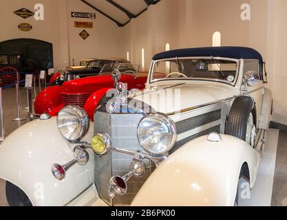 Classic concours cars on display in the Franschhoek Motor Museum, Franschhoek, South Africa Stock Photo