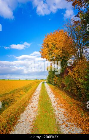 Autumn leaves and a dirt road in Lower Bavaria on a sunny day. Stock Photo