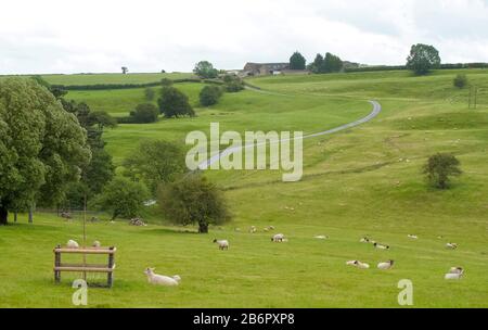 Pastoral scene Cotswolds, England, United Kingdom Stock Photo