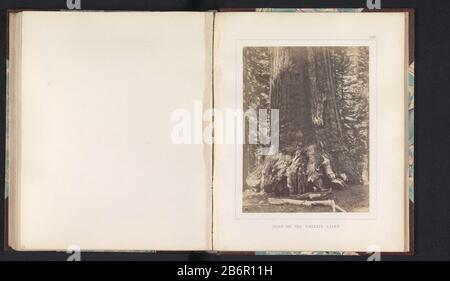 Gezicht op de voet van Grizzly Giant, een reuzensequoia in de Mariposa Grove Base of the Grizzly Giant (titel op object) View of the base of Grizzly Giant, a giant sequoia in the Mariposa Grove Base of the Grizzly Giant (title object) Property Type: photo page Item number: RP-F 2001-7-1073-24 Inscriptions / Brands: number, recto, printed: 'XXIV.' Manufacturer : photographer Carleton E. WatkinsPlaats manufacture: Mariposa Grove Dating: 1860 - or for 1868 Material: paper Technique: albumen print dimensions: photo: h 205 mm × W 157 mmToelichtingFoto section in the back.  Subject: fabulous tree wh Stock Photo