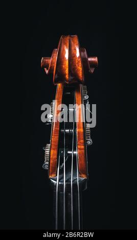 Double bass head stock with strings and tuners Stock Photo