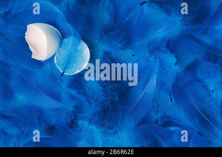 Abstract fluffy feathers background in trendy blue color with white cracked egg shell. Easter concept. Dark and moody feel. Backdrop for your design. Stock Photo