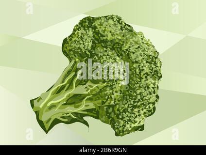 broccoli on green. broccoli abstract illustration. Healthy ecological green food Stock Vector