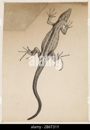 Hagedis Lizard Property Type: Drawing Object number: RP-T 1954-512 Manufacturer : artist: Julie Please Dated: 1887 - 1924 Physical features: pen in black ink, brush and gray pencil material: paper ink pencil Technique: pen / brush size: h 154 mm × W 112 mm Subject: lizard Stock Photo