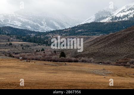 Grasslands and snowy mountains in late autumn near Sonora Junction, California, USA Stock Photo