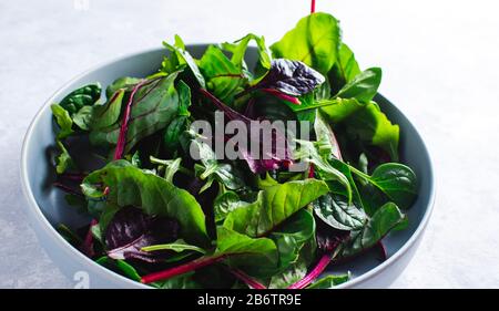 mixed fresh salad leaves Stock Photo