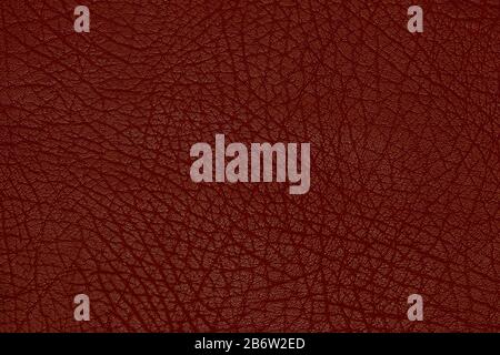 leather texture to background Stock Photo