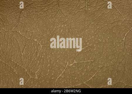 The texture of beige leather with embossed pattern. Background Stock Photo