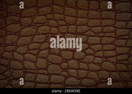 Brown crocodile skin texture. Useful as background.Copy space Stock Photo