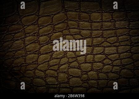 Brown crocodile skin texture. Useful as background.Copy space Stock Photo