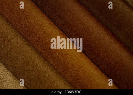 Samples of skin in different colors Stock Photo