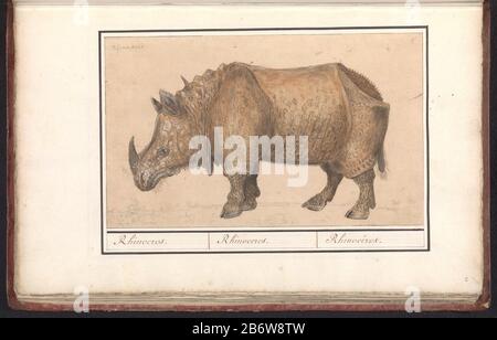 Indian rhino Latin name Rhinoceros unicornis Stock Photo - Alamy