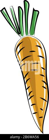 Old carrot, illustration, vector on white background. Stock Vector