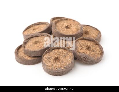 Pile of seed starting peat pellets isolated on white Stock Photo