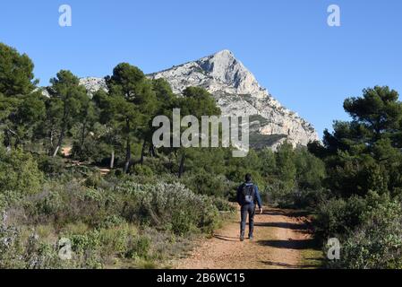 Single Male Walker or Hiker on Sandy Footpath & Mont Sainte-Victoire Mountain Nature Reserve Aix-en-Provence Provence Francente-Victoire Stock Photo