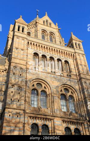 Architectural detail of the Natural History Museum in South Kensington, London, UK. Alfred Waterhouse designed it as a cathedral to celebrate nature. Stock Photo