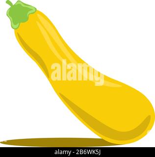 Yellow zucchini, illustration, vector on white background. Stock Vector