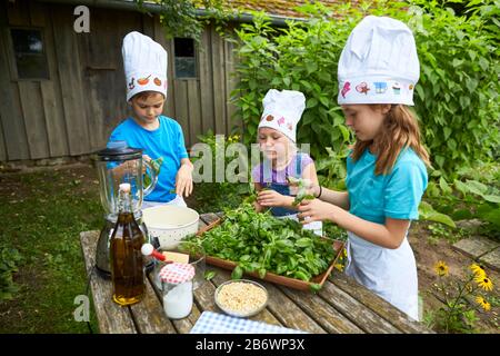 Children investigating food. Series: Making pesto. Learning according to the Reggio Pedagogy principle, playful understanding and discovery. Germany. Stock Photo